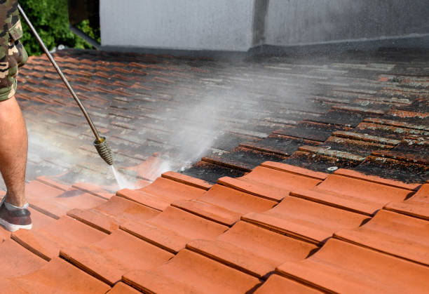 Best Affordable Pressure Washing  in Galveston, TX